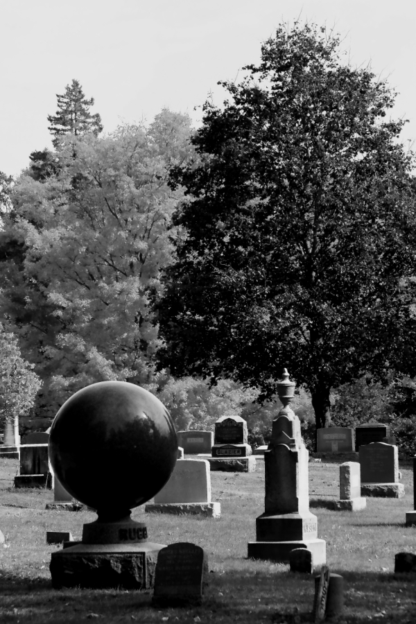 2010 10 11 IMG 11699bw